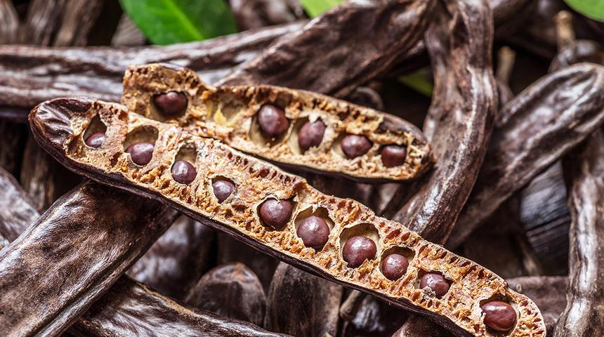 Her derde deva keçiboynuzunun bilinmeyen faydaları...