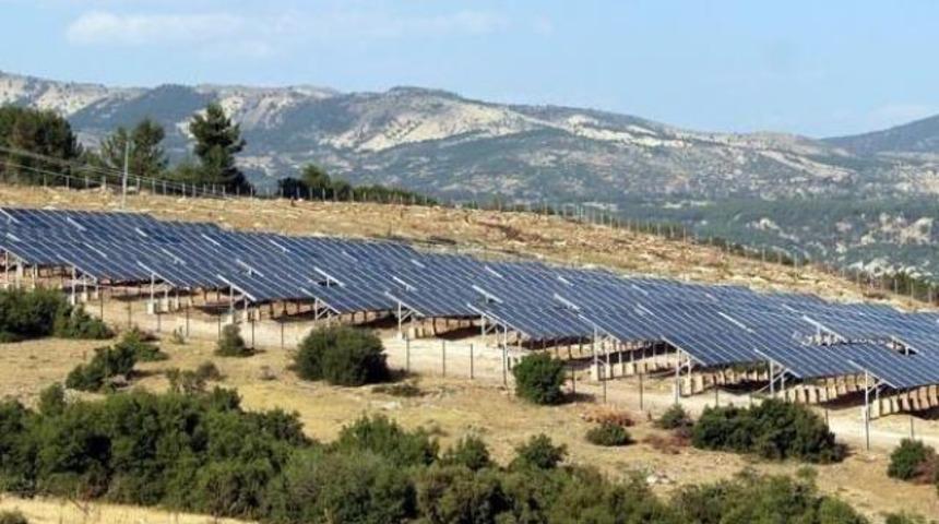 En b&uuml;y&uuml;k g&uuml;neş tarlası