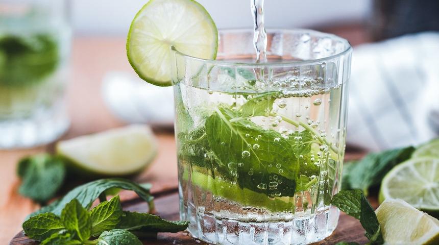 Birka&ccedil; yaprak nane ile sağlıklı kalmak m&uuml;mk&uuml;n! Suyun i&ccedil;ine nane atıp bekleyin, faydalarına inanamayacaksınız&hellip;