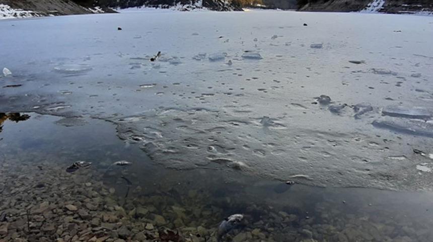 Sünnet Gölü'ndeki toplu balık ölümleri sonrası harekete geçildi