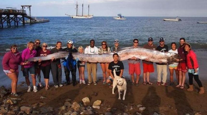 Kağıt balığı herkesi şaşırttı