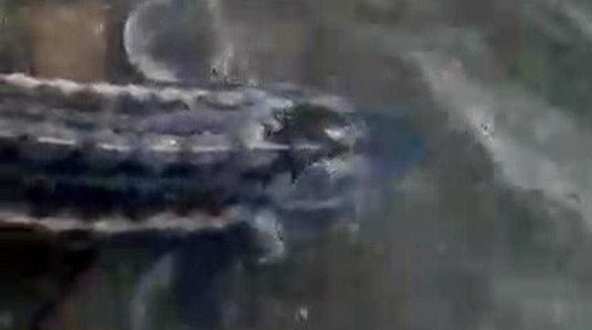 Altın yumurtlayan balık Gümüşhane'de oltaya takıldı! Mersin balığı şaşkına çevirdi