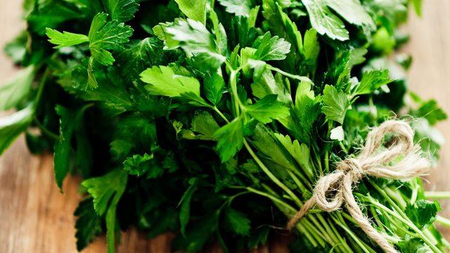 Maydanoz ve maydanoz suyu hakkında bilmeniz gereken her şey! Maydanozun faydaları nelerdir, maydanoz nasıl tüketilmeli? Maydanoz suyu nasıl hazırlanır?