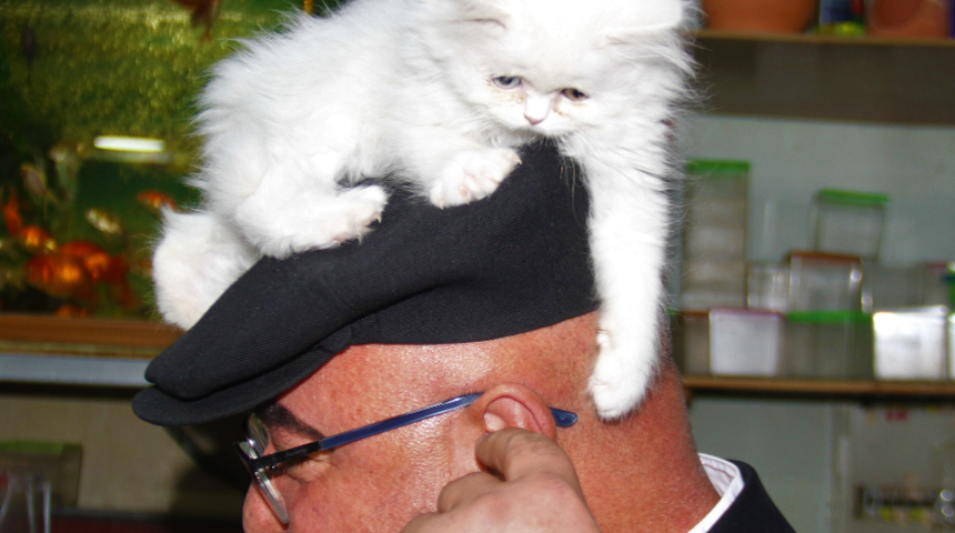 Her gün onu görmeye gidiyor! ''Kediyle ufak bir muhabbetimiz oldu'