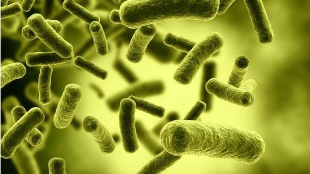 Nefesle verem testi geliştirildi