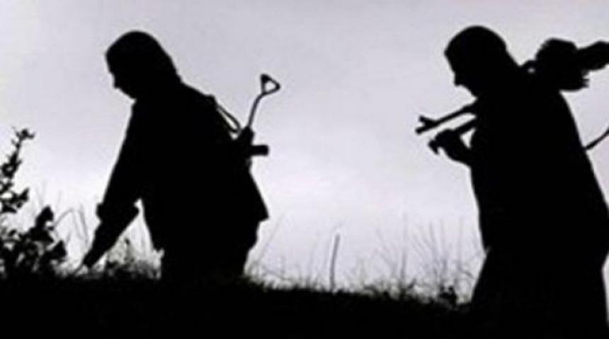 Diyarbakır'ın Lice İlçesi'nde PKK'lılar yol kesip 4 askeri kaçırdı