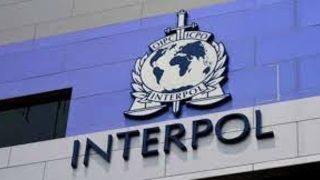 Interpol nedir? Interpol Sedat Peker için kırmızı bülten mi çıkardı? Kırmızı bülten ne demek?