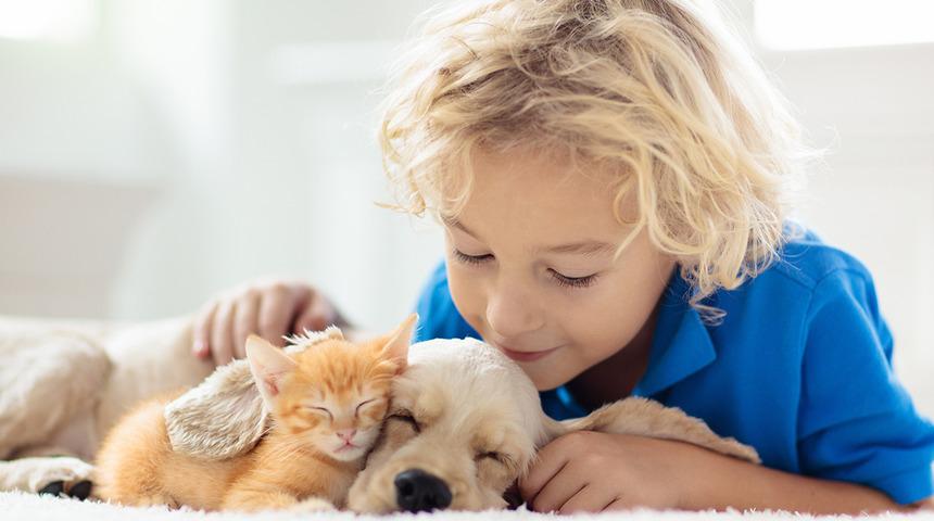 Küçükken evde kedi ve köpek beslenmesi alerji riskini azaltıyor