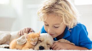Küçükken evde kedi ve köpek beslenmesi alerji riskini azaltıyor