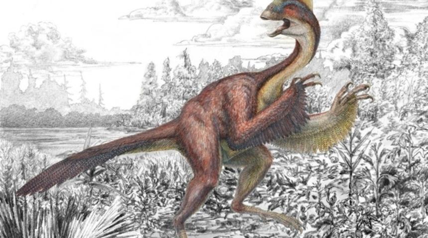 Dinozorlar ne soğukkanlı, ne de sıcakkanlı