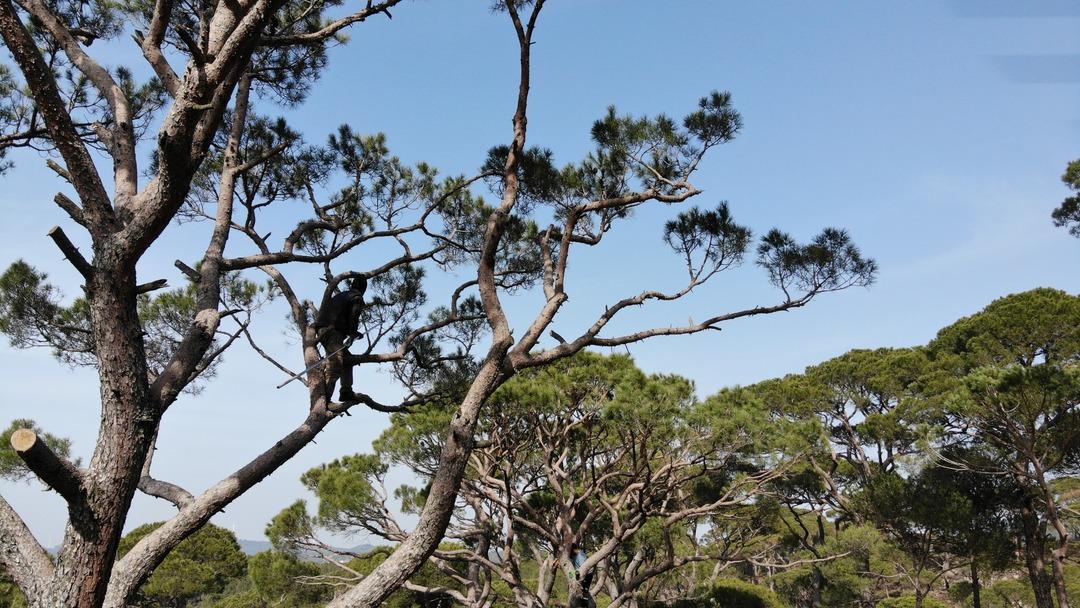 Aydın'da komando eğitimi gibi iş&ccedil;ilik! 400 TL kazanıyorlar: &Ouml;l&uuml;mle burun burunayız