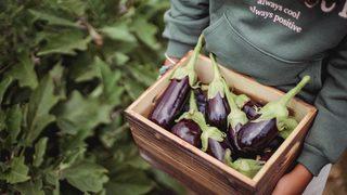 Patlıcan sandığınızdan çok daha faydalı! O ölümcül hastalıklara yakalanma riskinizi azaltmak istiyorsanız...