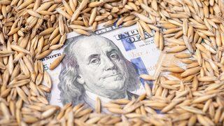 Türkiye, buğday sıkıntısı yaşar mı? Yetkili isim açıkladı: Hasat sezonuna kadar…