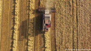 Buğday fiyatları 10 yılın zirvesinde