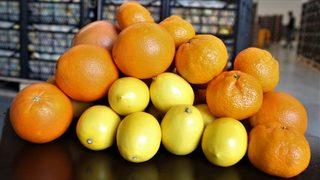 500 ton narenciye Ukrayna’ya sevk edilmeyi bekliyor! 'Ya çöp olacak ya da gidecek...'