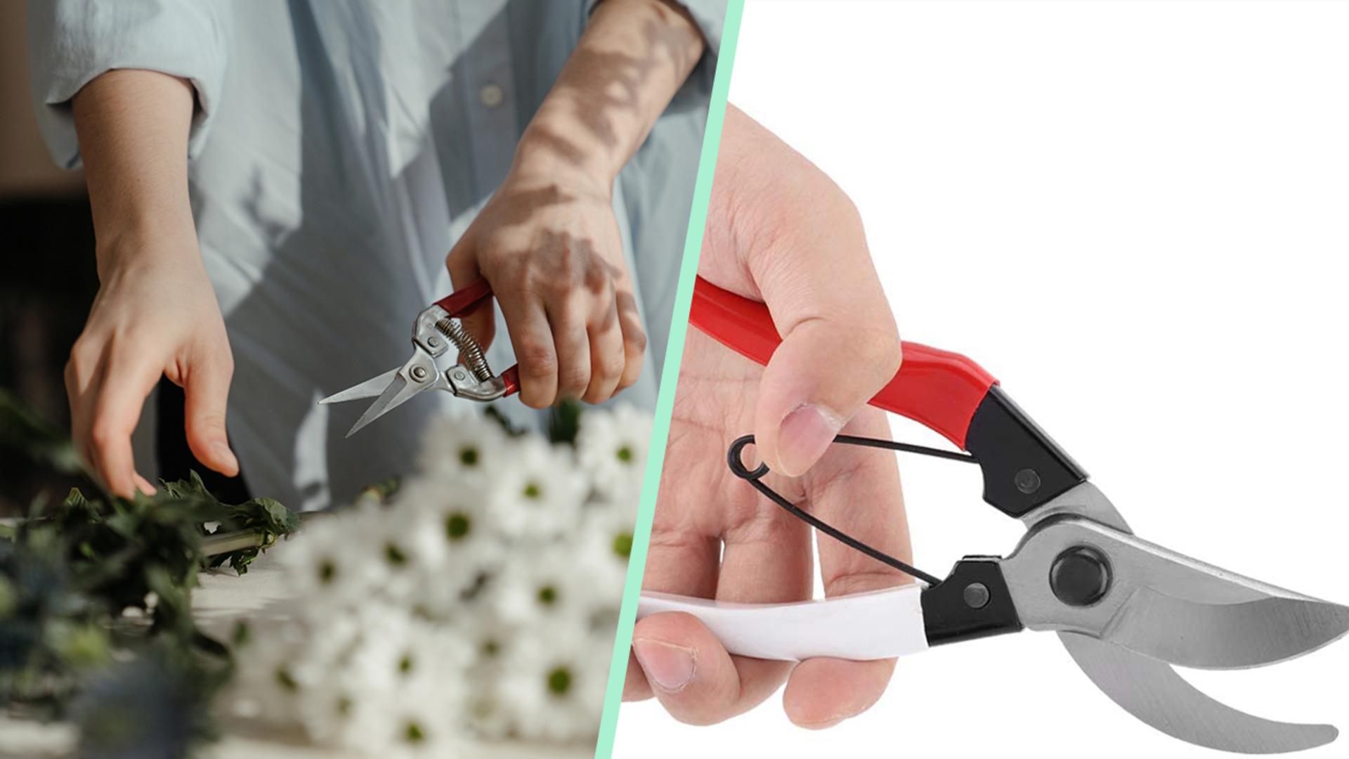 Ağaçlarınız için kullanabileceğiniz en iyi budama makası çeşitleri