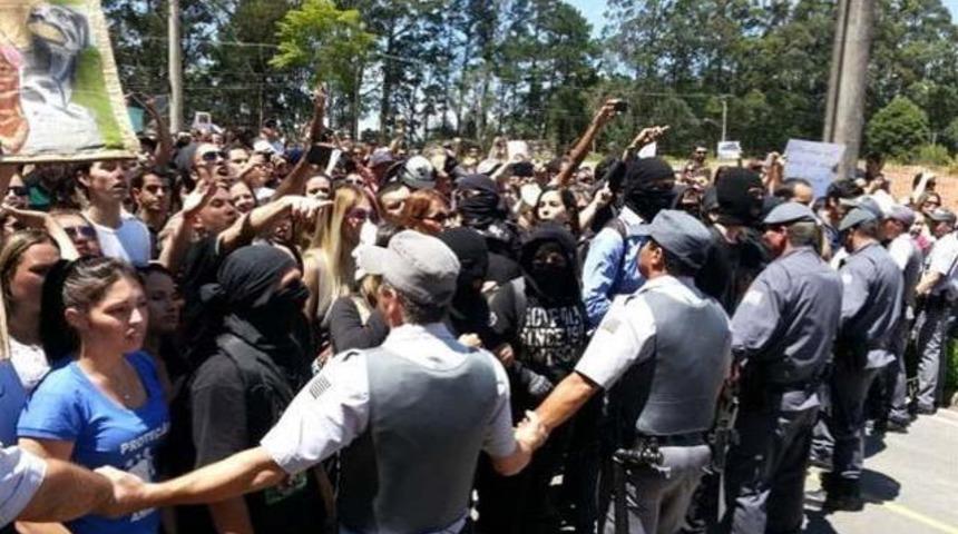 Deney köpekleri için baskın