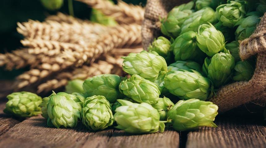 Faydalarını duyan aktara koştu: Sinirleri yatıştırır, ödem attırır, göğüsleri büyütür...