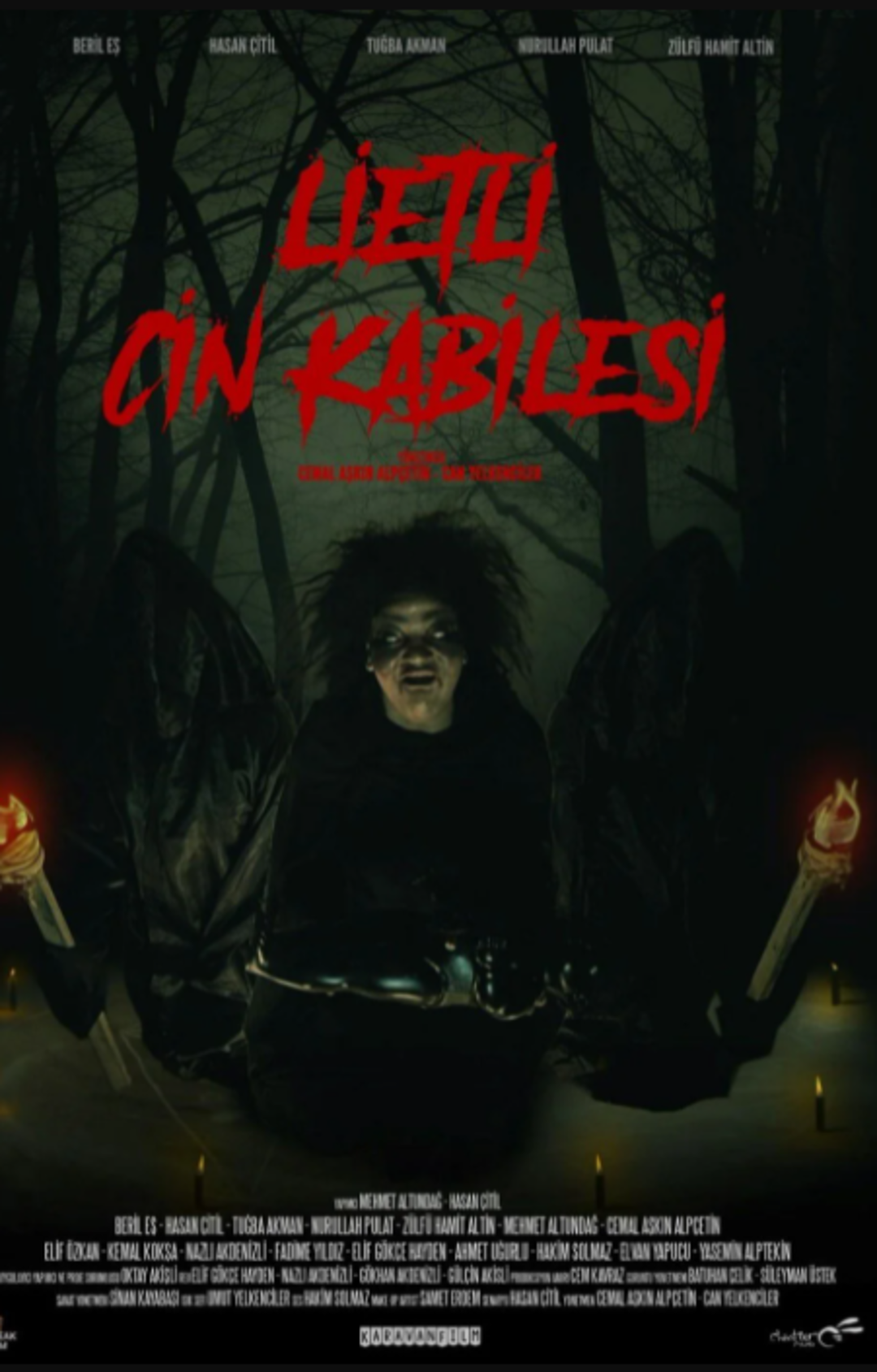 Vizyona Girecek Filmler  -  27 �ubat - 6 Mart