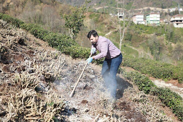 Çay üreticileri gübreleme konusunda bilinçlendiriliyor G2