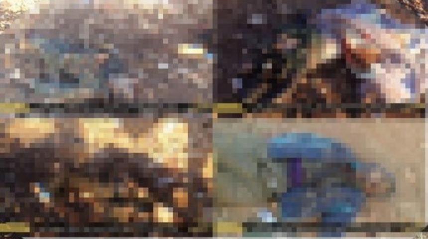 'IŞİD, 9 Kürt'ün kafasını kesti iddiası'