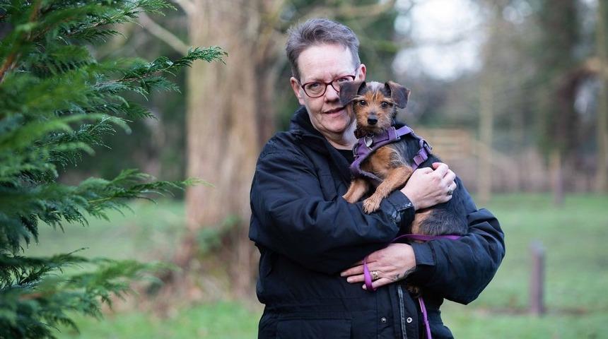 Kahraman köpek sahibinin hayatını kurtardı! “Köpeğim olmasa şimdi duldum”