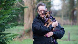 Kahraman köpek sahibinin hayatını kurtardı! “Köpeğim olmasa şimdi duldum”