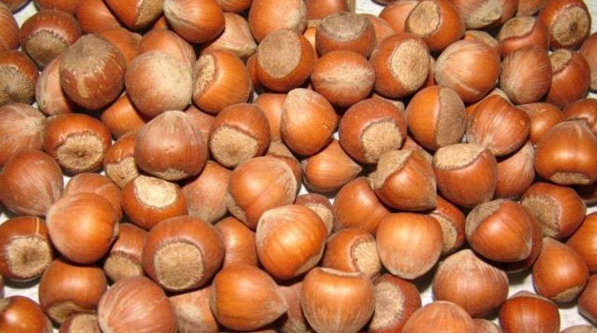 Uzun yaşamak i&ccedil;in her g&uuml;n bir porsiyon şart!