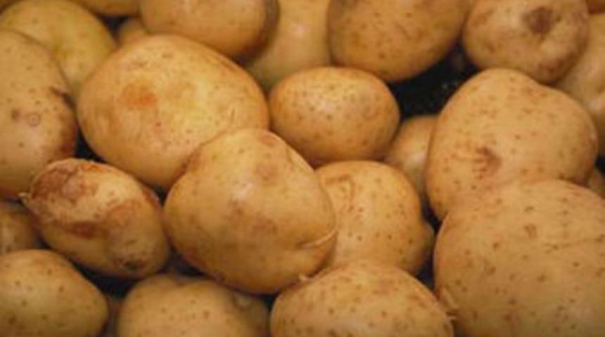 5 ton patates çaldılar