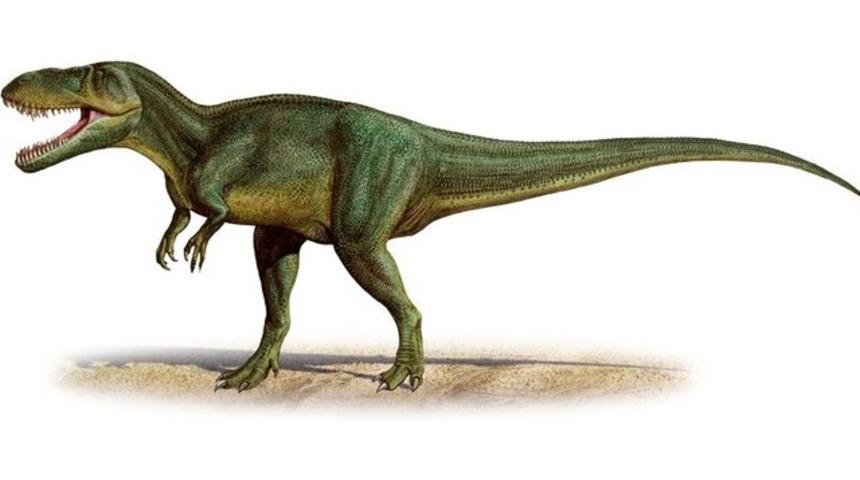 Bugüne kadar keşfedilmiş en büyük dinozor bulundu