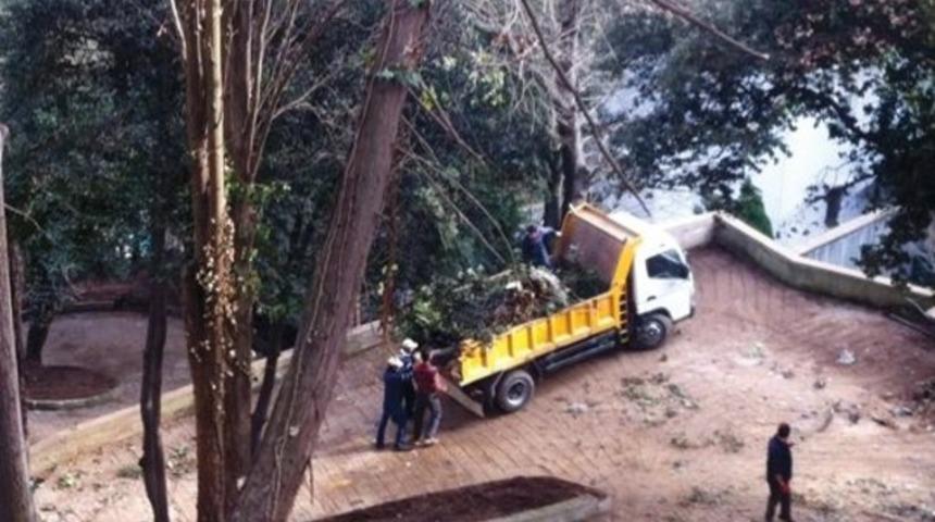 Tarihi Zarifi K&ouml;şk&uuml; korusunda izinsiz kesim