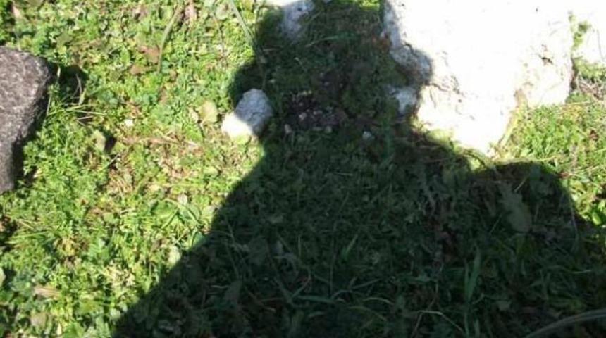 Tarlada inanılmaz olay!