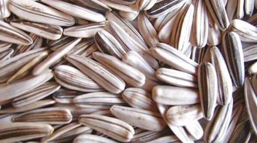 &Ccedil;ekirdek &ccedil;itlemeyi yasakladı