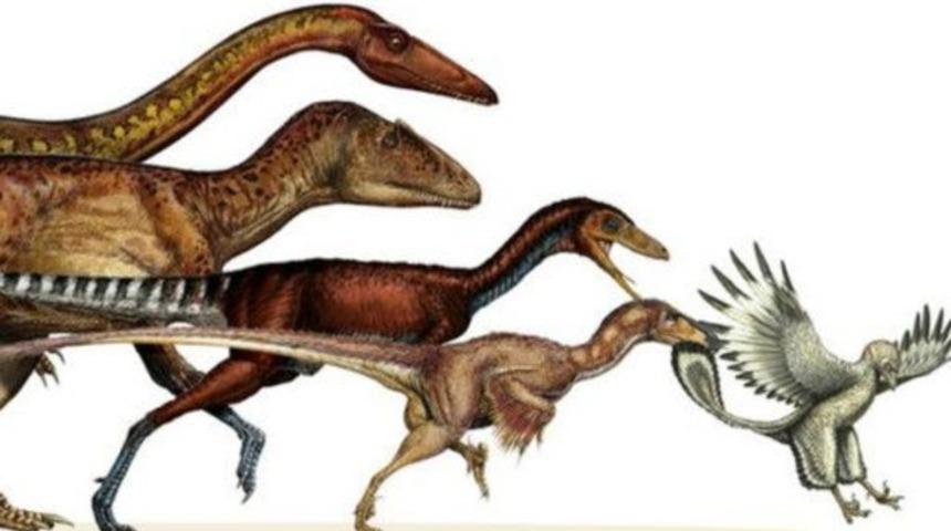 '163 kiloluk dinozor, 800 gramlık kuşa d&ouml;n&uuml;şt&uuml;'