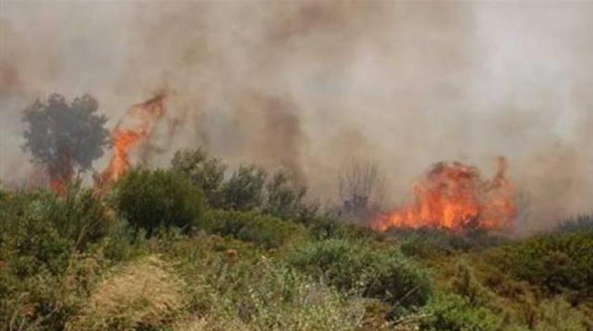 Didim'de korkutan yangın