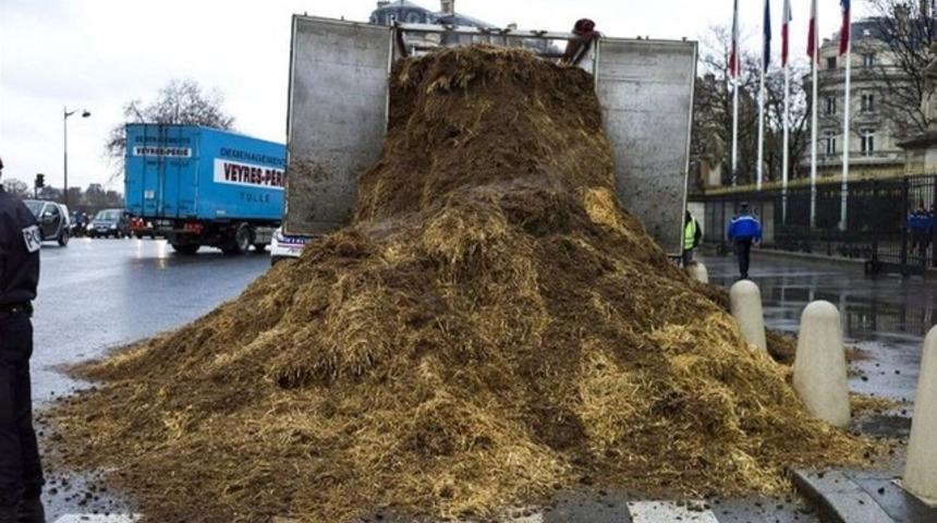 Meclis önüne bir TIR gübre döktü