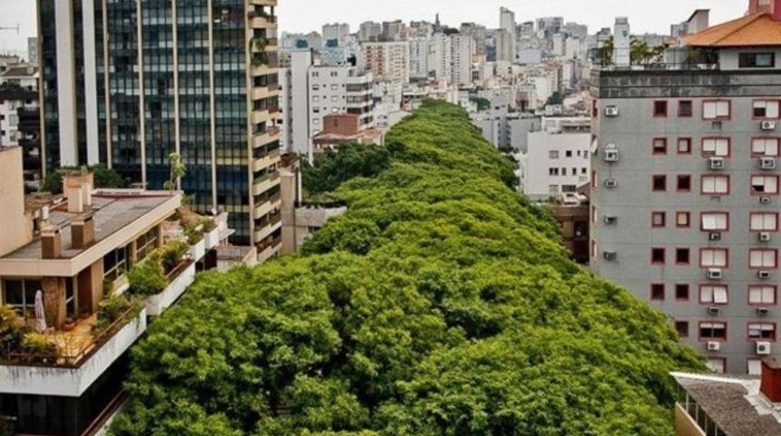 D&uuml;nyanın en g&uuml;zel sokağı olduğunun kanıtı 4 fotoğraf