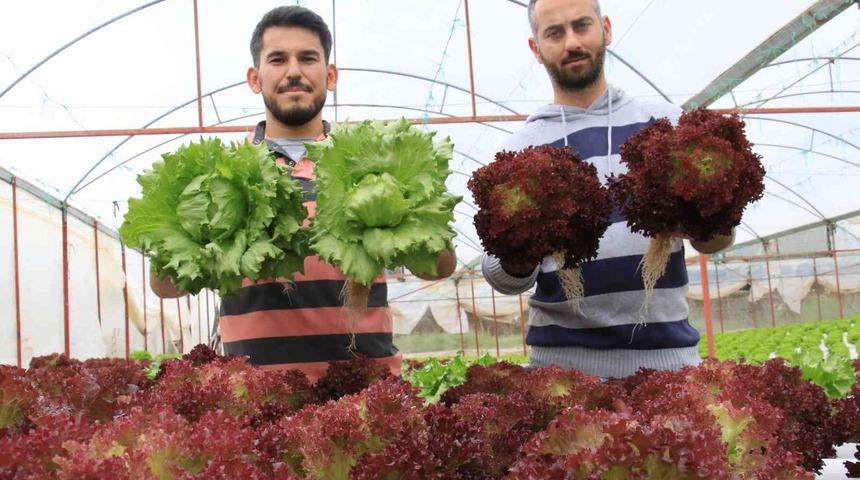 İşçiliği bırakıp bu işe başladılar! Yılda 8 hasat yapıyorlar