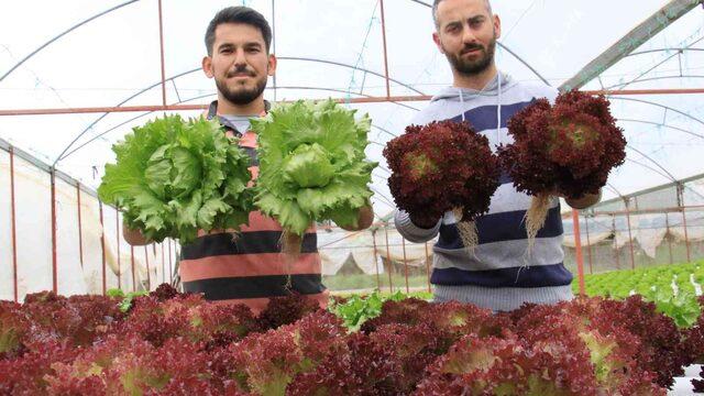 İşçiliği bırakıp bu işe başladılar! Yılda 8 hasat yapıyorlar