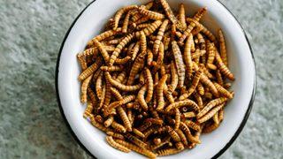 Demir, çinko ve B2 vitamini zengini! Afiyetle yiyen de var yüzüne bakmayan da!