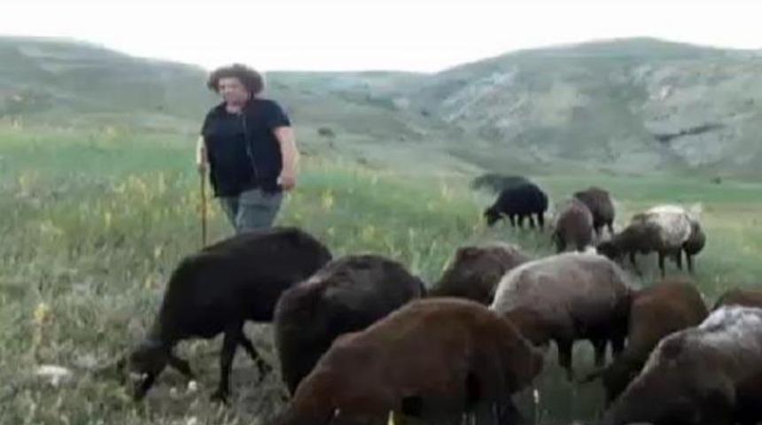 İstanbul'u terk etti, Bayburt'ta &ccedil;oban oldu