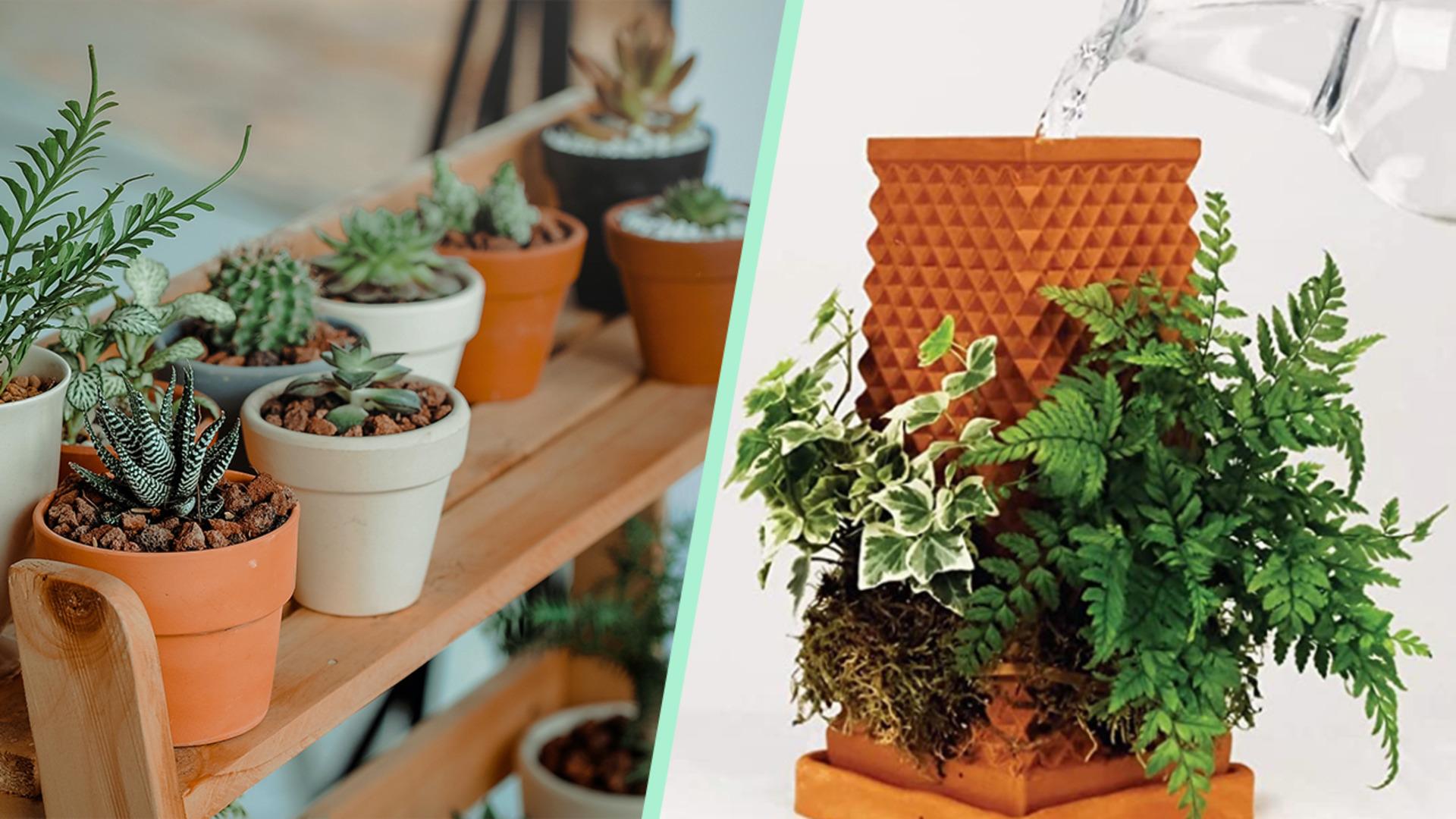 Çiçek ve bitki aşıklarının evinde mutlaka bulunması gereken araçlar