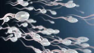 Sperm kalitesini arttıracak mucizevi gıdalar! 