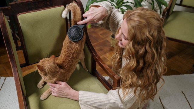 Koltuklara yapışan kedi ve köpek tüyleri kabusunuz olmasın! Bu yöntemleri uyguladığınızda...