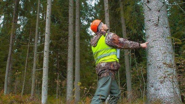 OGM işçi alımı ne zaman yapılacak? 2022 5 bin yangın işçisi alımı başvuru şartları neler?