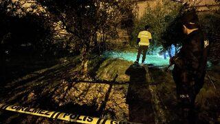 Suriye sınırındaki Karkamış'a roket mermisi atıldı