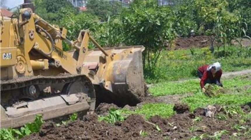 Ekmek dozerin ağzında