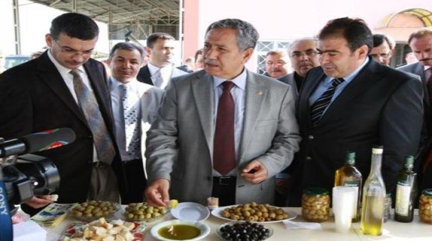 Arın&ccedil;'tan zeytinyağı tavsiyesi