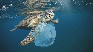 'Plastik krizinin' çözümü için umut doğdu: BM üyeleri uluslararası anlaşma için müzakerelere başlayacak