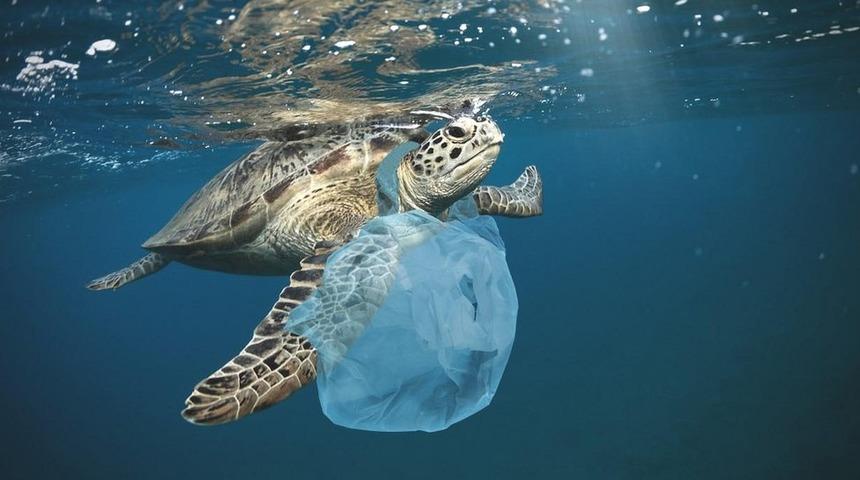 'Plastik krizinin' çözümü için umut doğdu: BM üyeleri uluslararası anlaşma için müzakerelere başlayacak